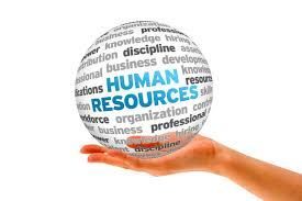 The importance of Human Resource Management